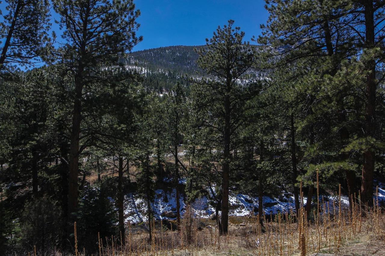 אסטס פארק Fawn Valley Inn Studios By Rocky Mountain Resorts מראה חיצוני תמונה